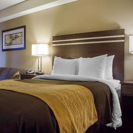 גואלף Comfort Inn מראה חיצוני תמונה