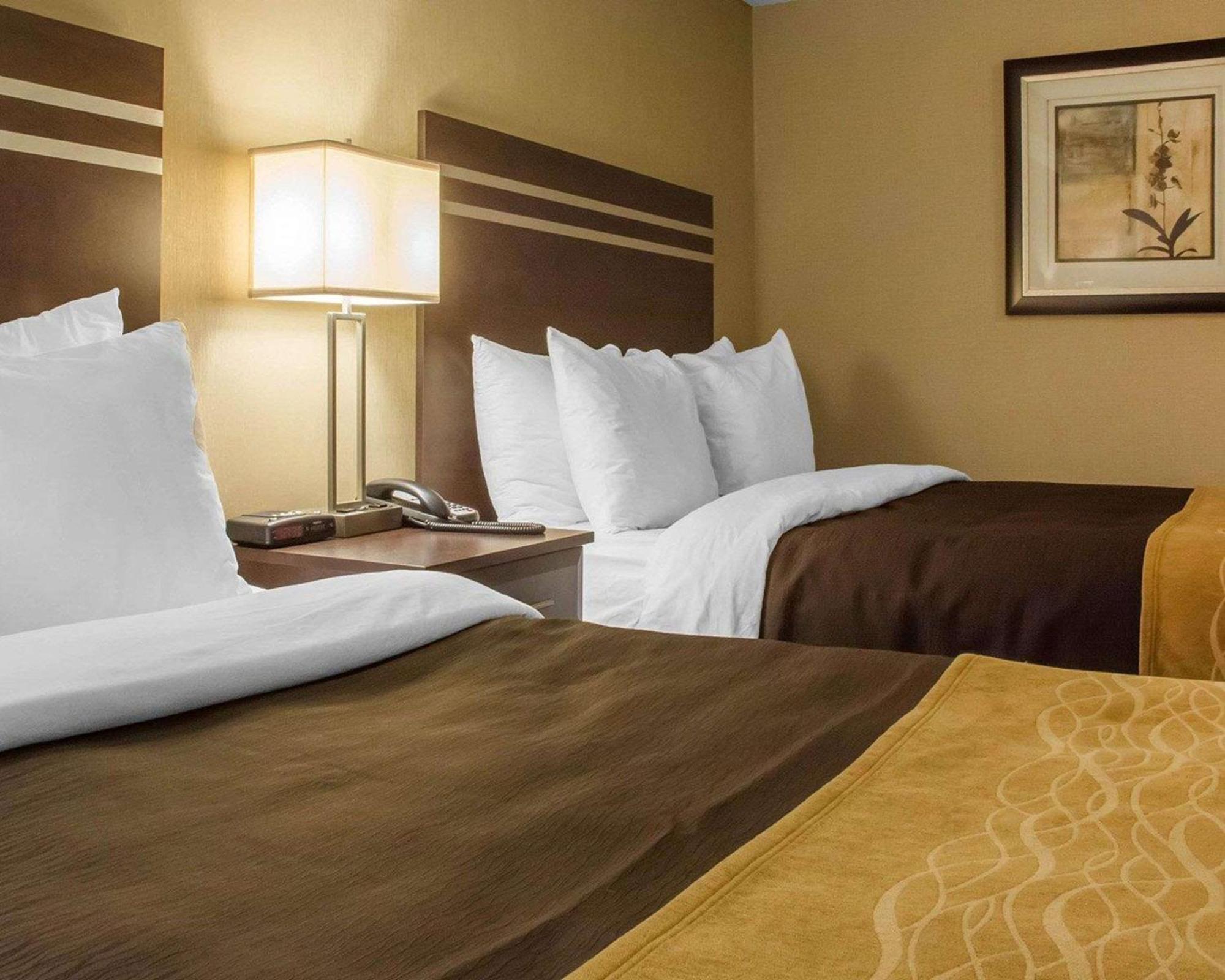 גואלף Comfort Inn מראה חיצוני תמונה