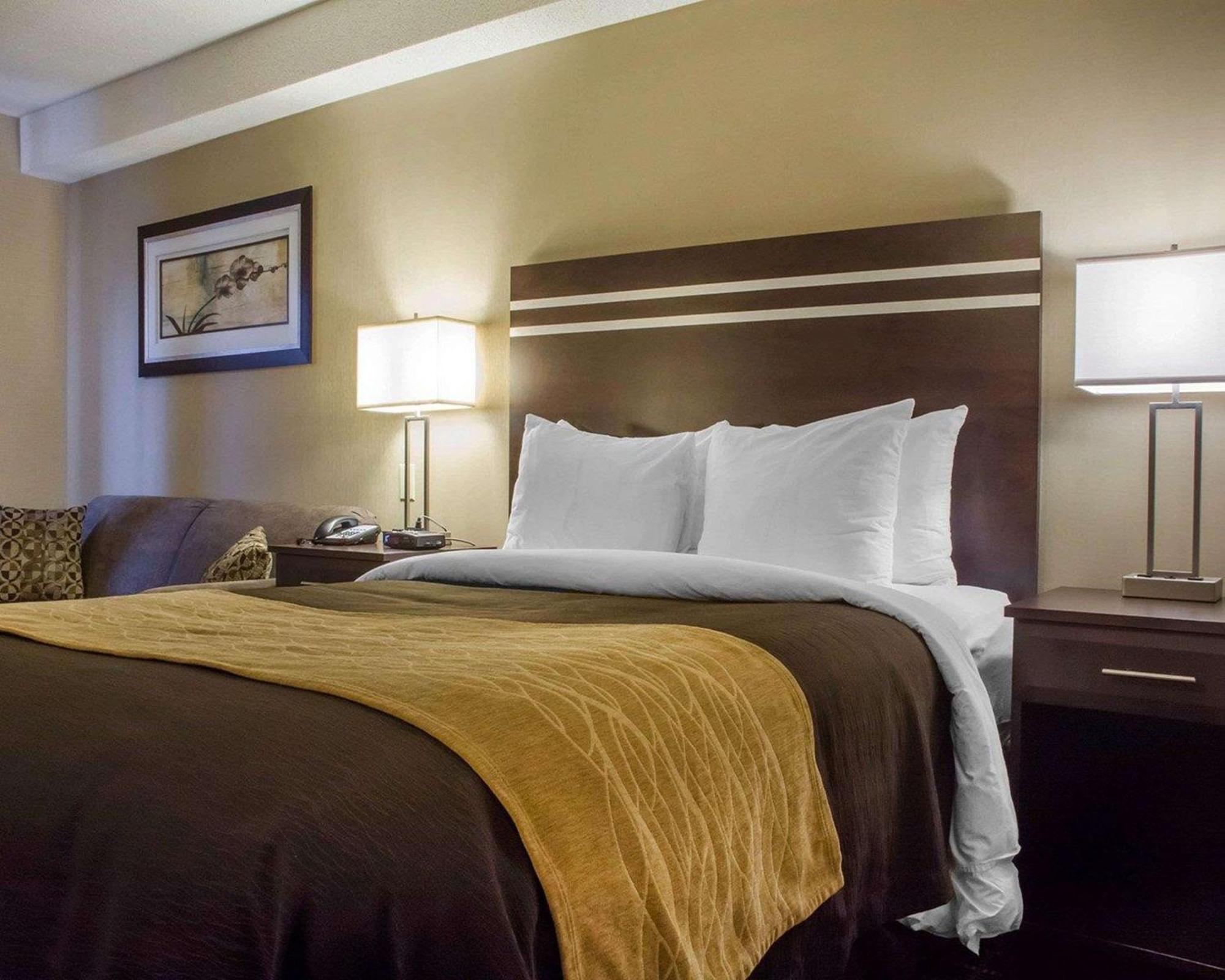 גואלף Comfort Inn מראה חיצוני תמונה