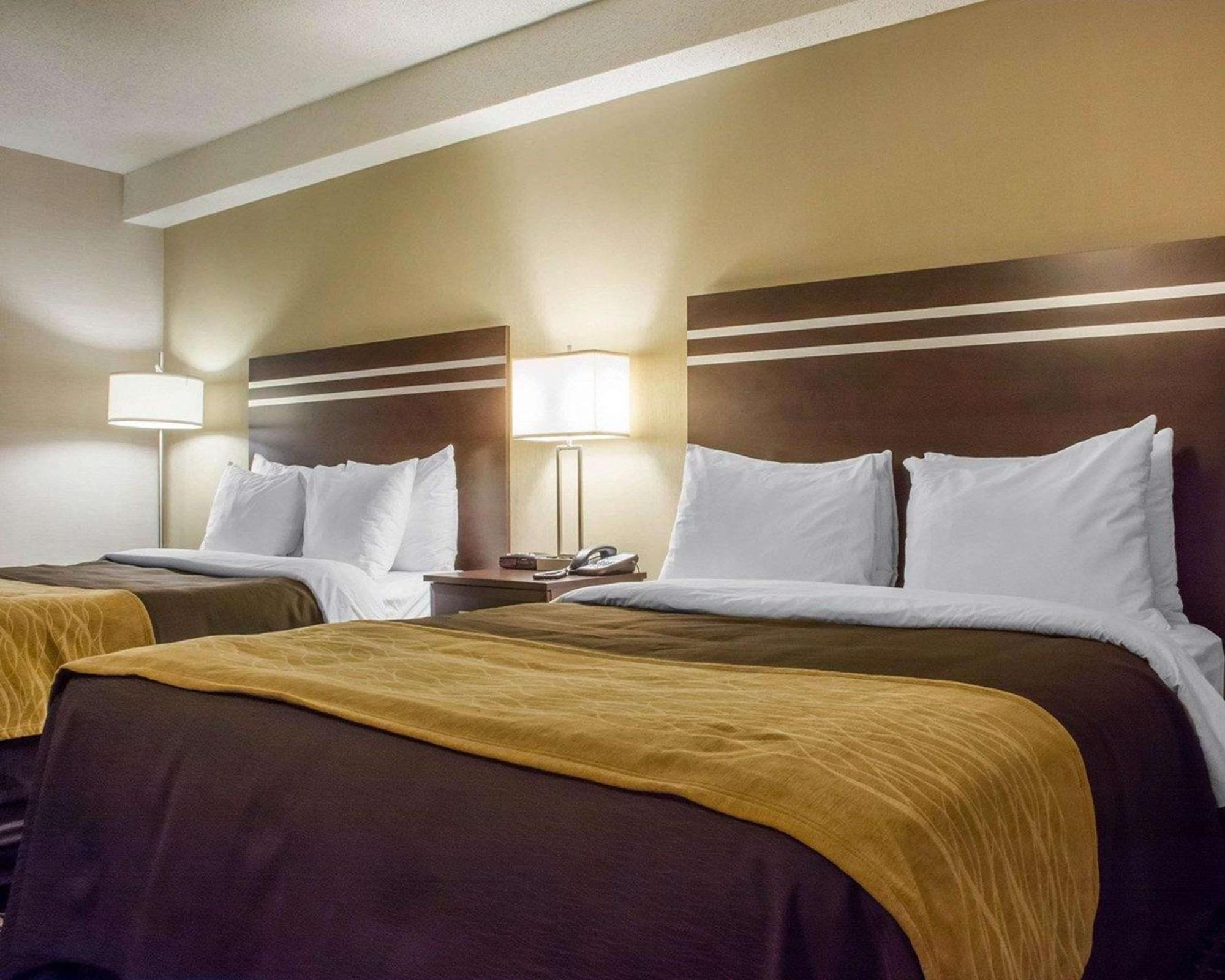 גואלף Comfort Inn מראה חיצוני תמונה